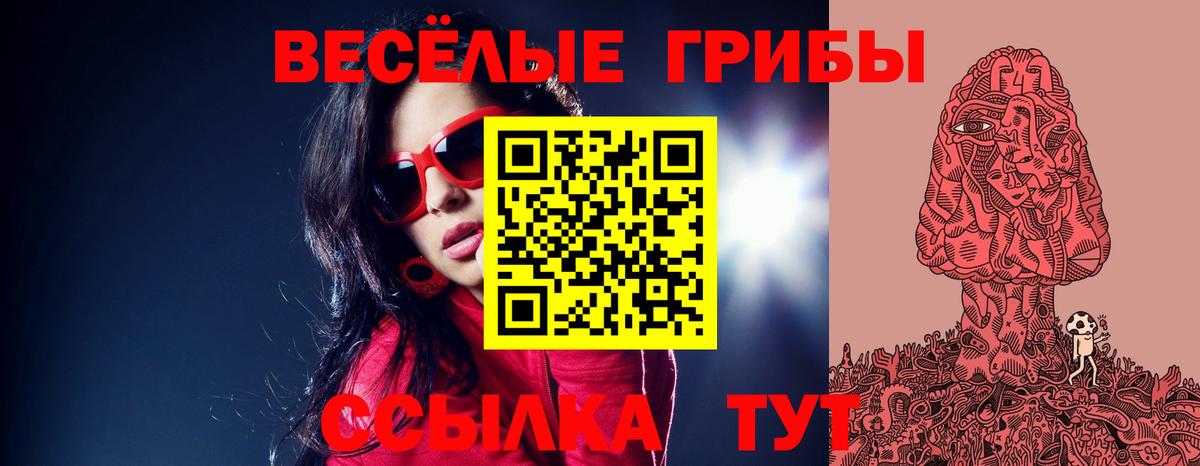 Галлюциногенные грибы MAGIC MUSHROOMS  Галлюциногенные грибы GOLDEN TEACHER  Вход с VPN  Сергиев Посад 